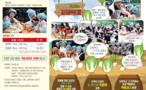 평창 고랭지 김장